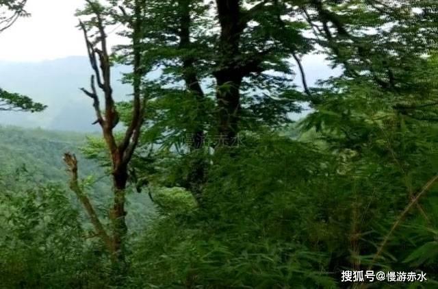 学习中国近代史纲要有什么收获或意义